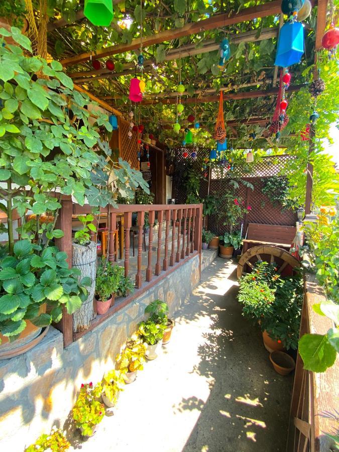 Avcioglu Konak Otel サフランボル エクステリア 写真