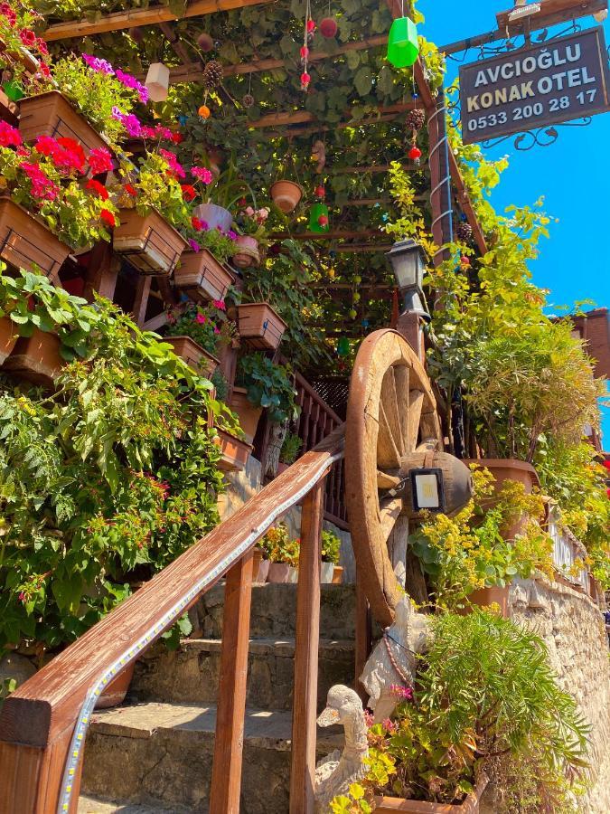 Avcioglu Konak Otel サフランボル エクステリア 写真